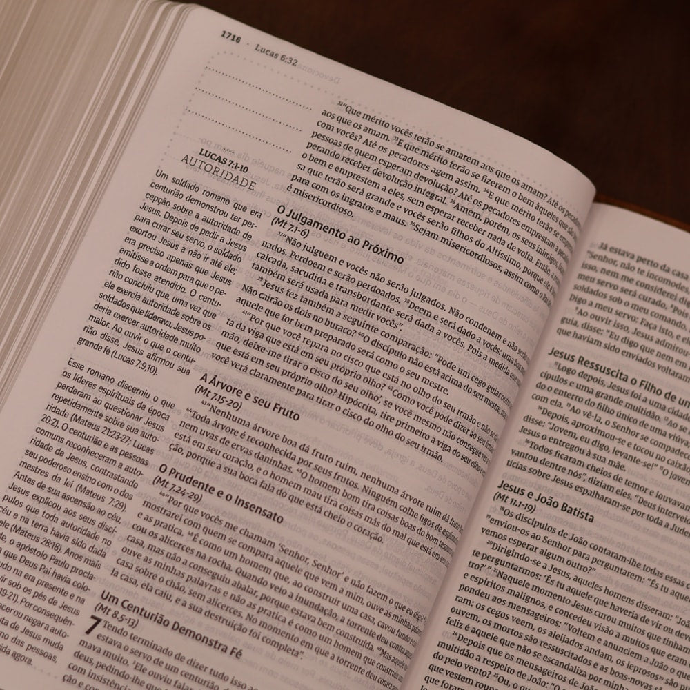 Jesus Bible | NVI | Espaço Para Anotações | Leitura Perfeita | Tecido Sobre Capa Dura Cinza