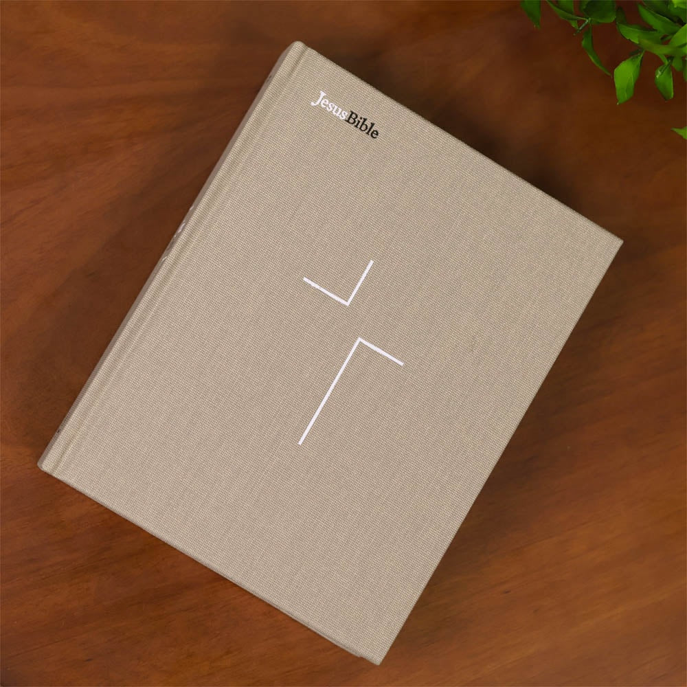 Jesus Bible | NVI | Espaço Para Anotações | Leitura Perfeita | Tecido Sobre Capa Dura Cinza