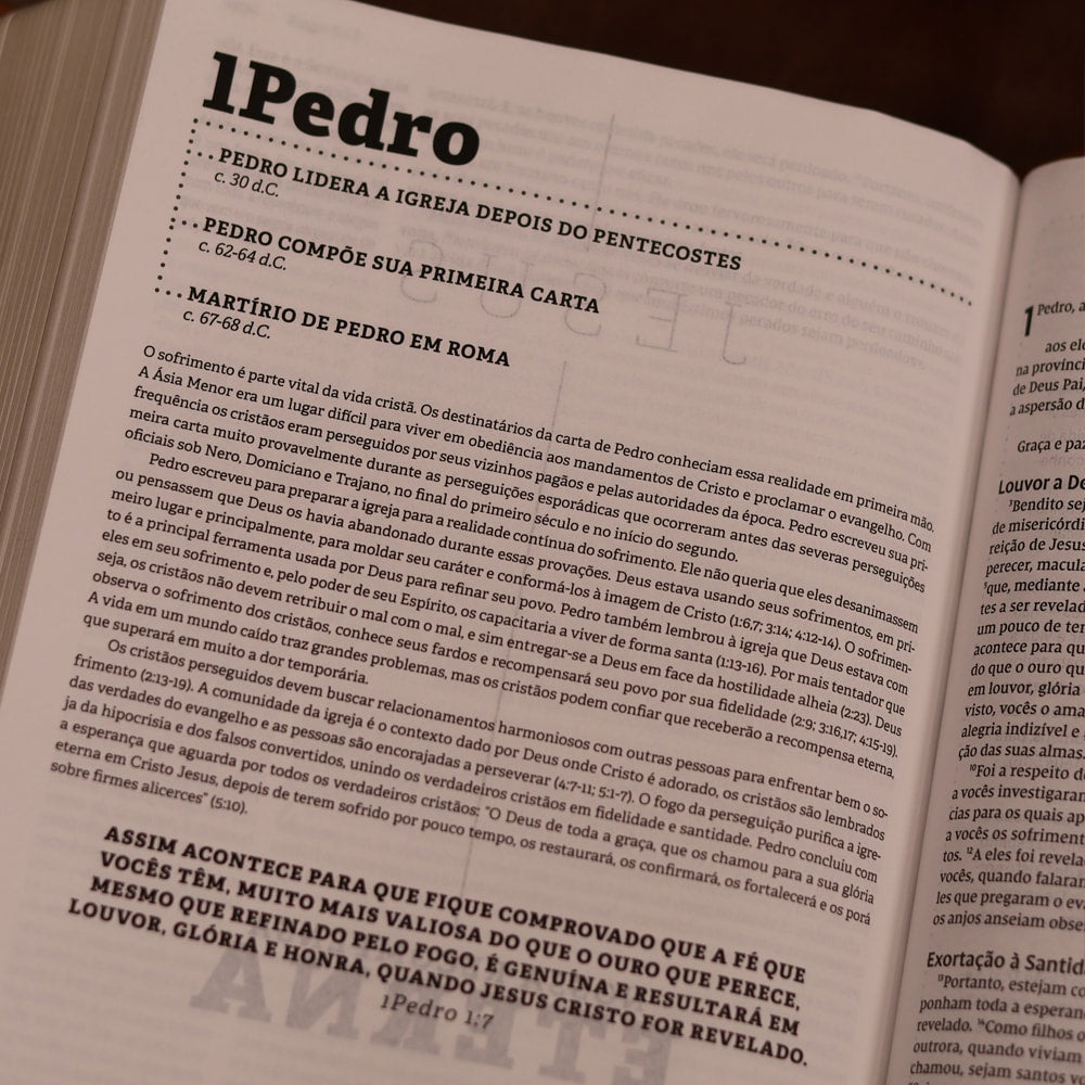 Jesus Bible | NVI | Espaço Para Anotações | Leitura Perfeita | Tecido Sobre Capa Dura Cinza