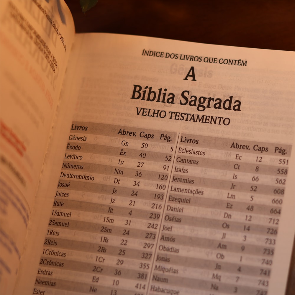 Bíblia Sagrada | Letra Gigante | ARC | C/ Harpa e Corinhos | Capa Premium Luxo Flores Branca
