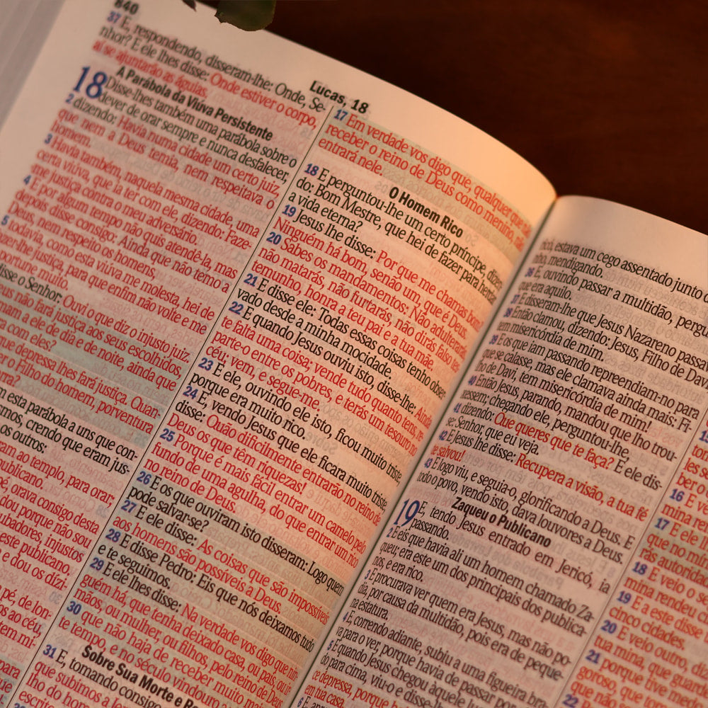 Bíblia Sagrada | Letra Gigante | ARC | C/ Harpa e Corinhos | Capa Premium Luxo Flores Branca