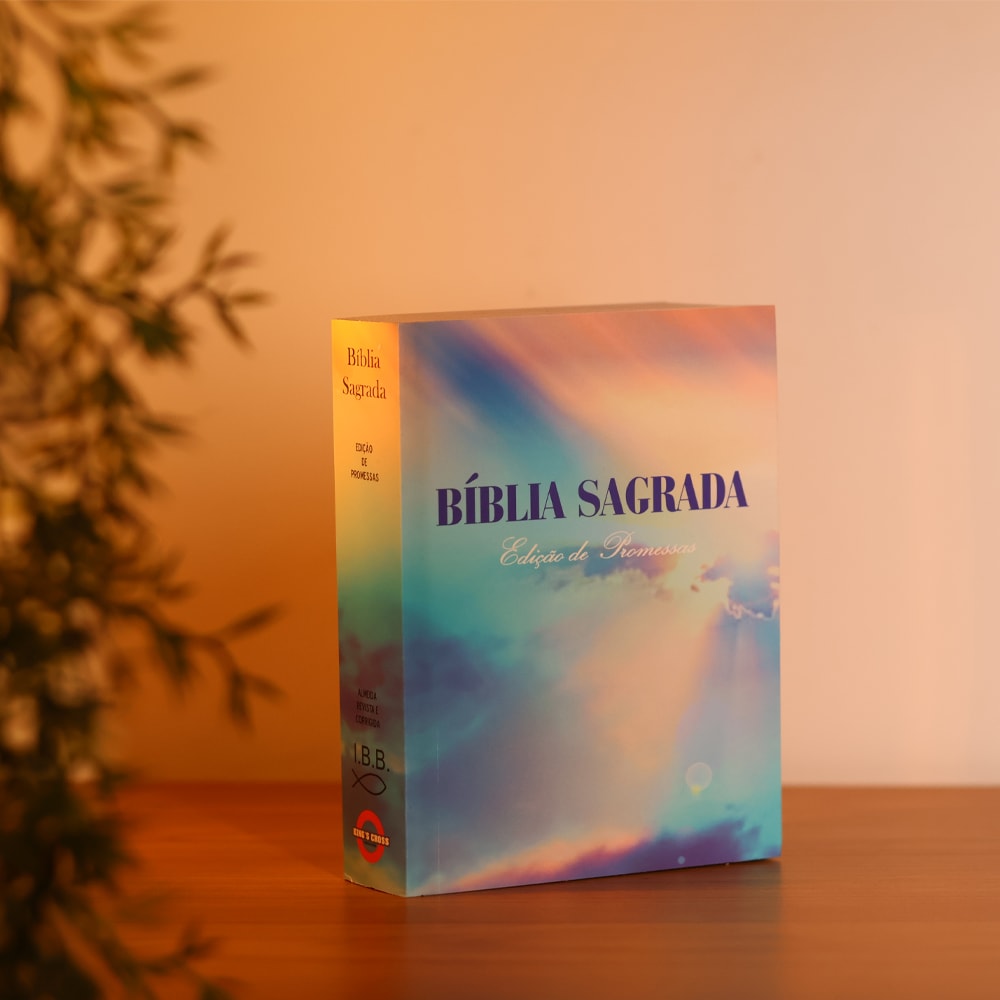 Kit 30 Bíblias Sagrada Céu | ARC | Edição Promessas | Bolso