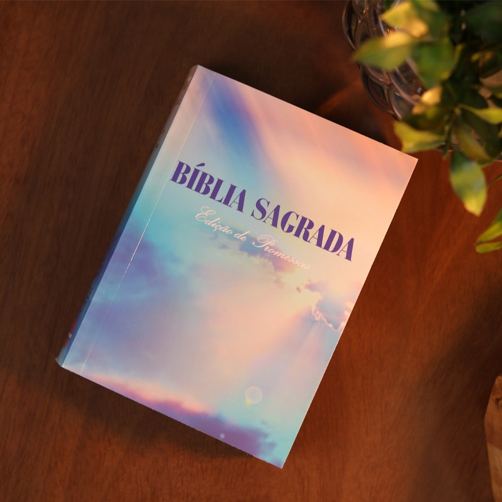 Kit 30 Bíblias Sagrada Céu | ARC | Edição Promessas | Bolso