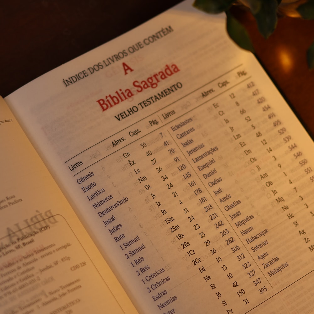 Bíblia Slim | Letra Normal | NVA | Capa Premium Luxo Cruz Bordô