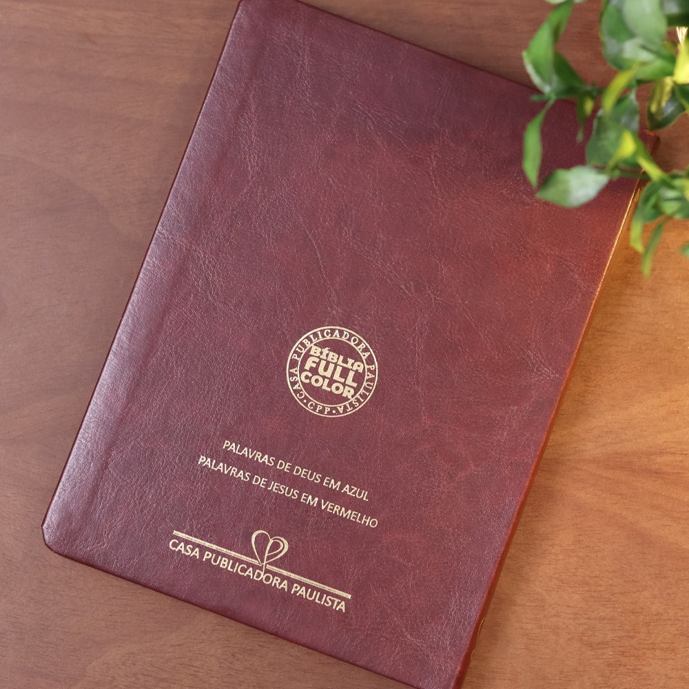 Bíblia Slim | Letra Normal | NVA | Capa Premium Luxo Minimalista Bordô