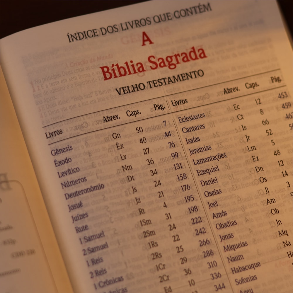 Bíblia Slim | Letra Normal | NVA | Capa Premium Luxo Minimalista Marrom