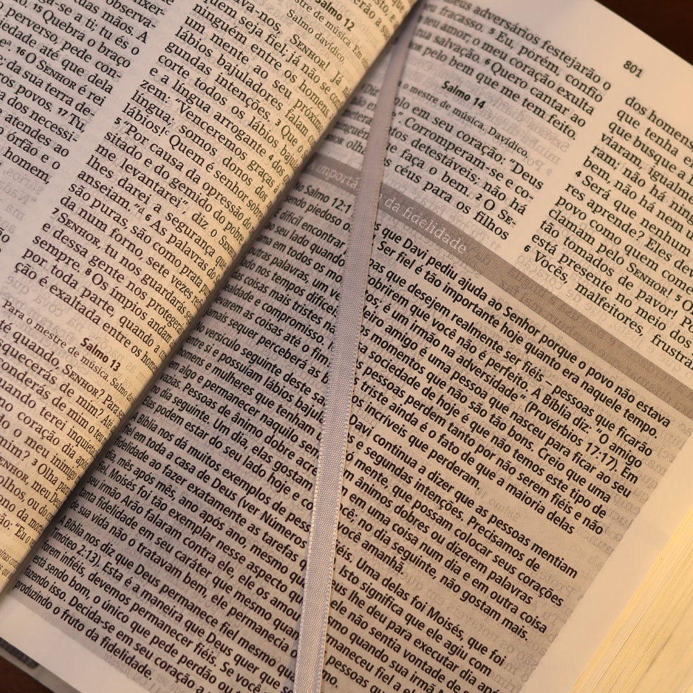 Bíblia De Estudo Joyce Meyer | NVI | Letra Grande | Capa Cinza