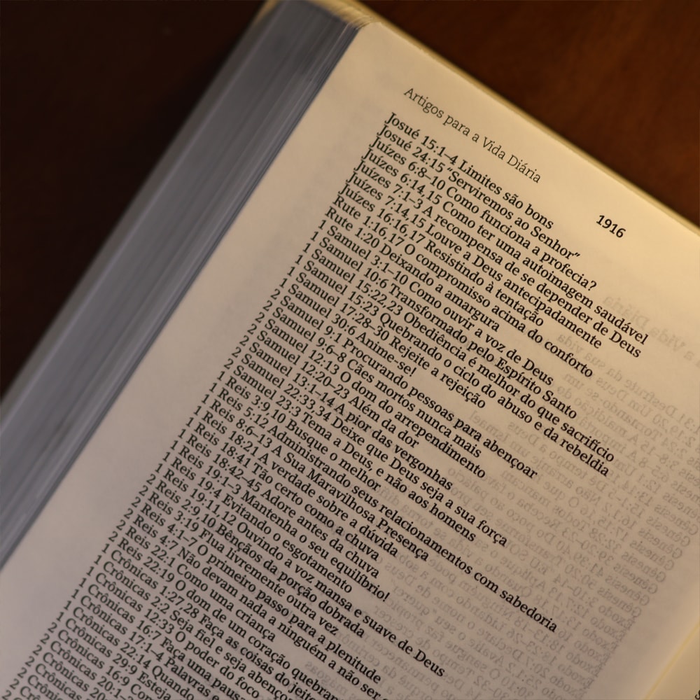 Bíblia De Estudo Joyce Meyer | NVI | Letra Grande | Capa Cinza