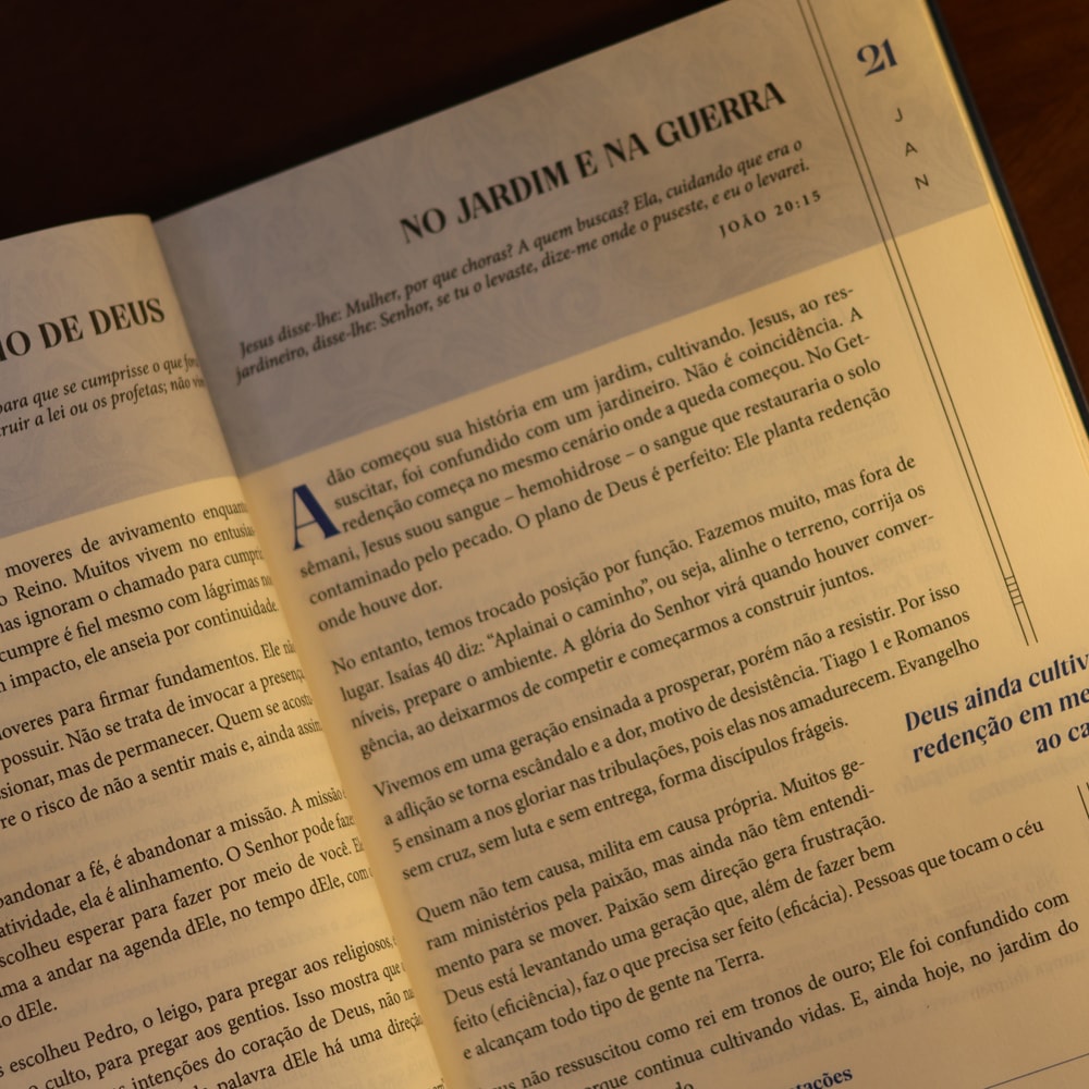 Devocional Dia Após Dia Edificando a Mente e Guardando o Coração | Luiz Hermínio