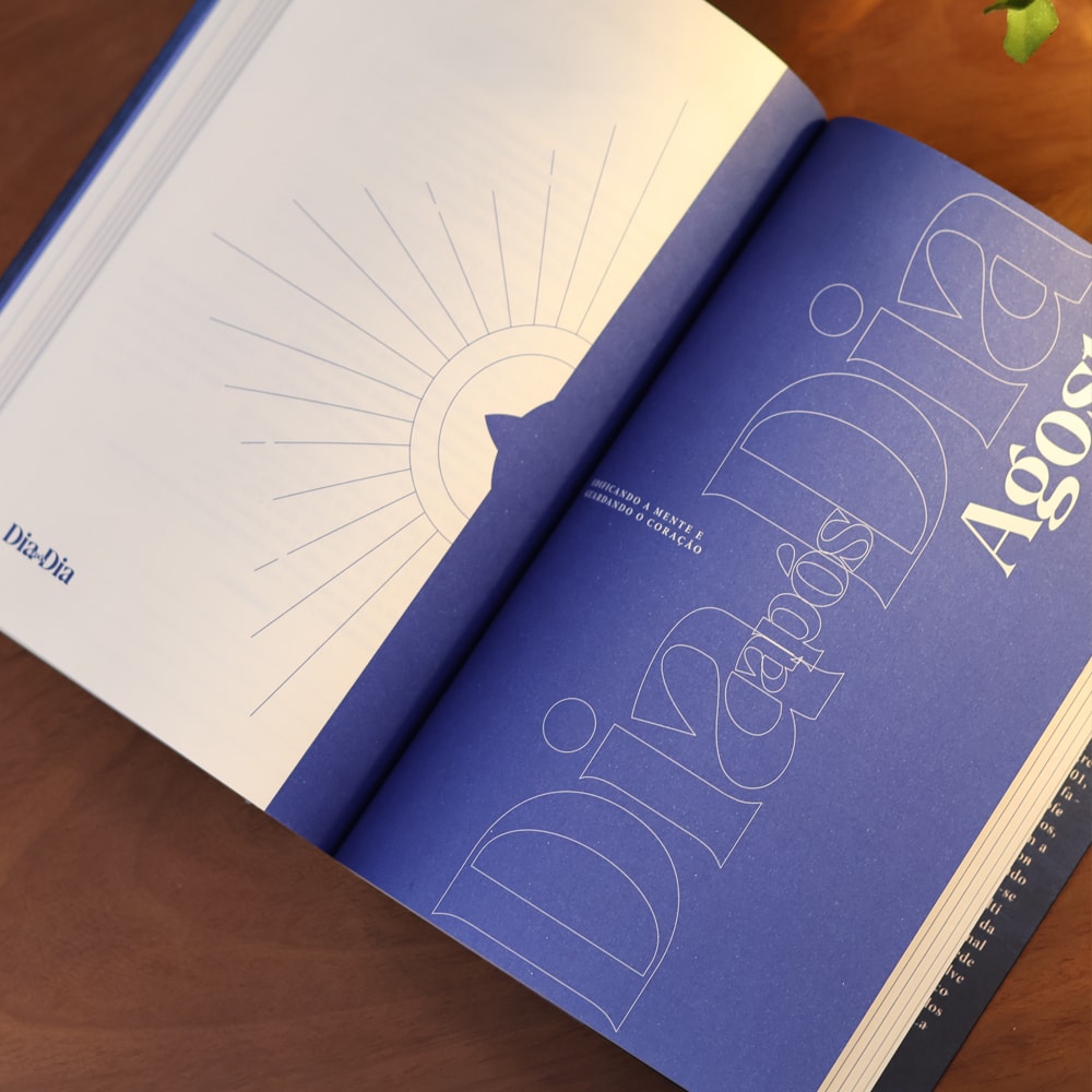 Devocional Dia Após Dia Edificando a Mente e Guardando o Coração | Luiz Hermínio