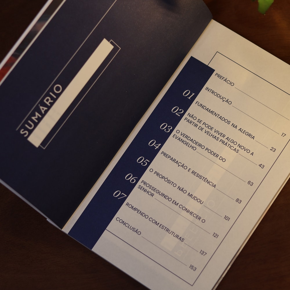 Mente Sadia, Coração em Chamas | Luiz Hermínio