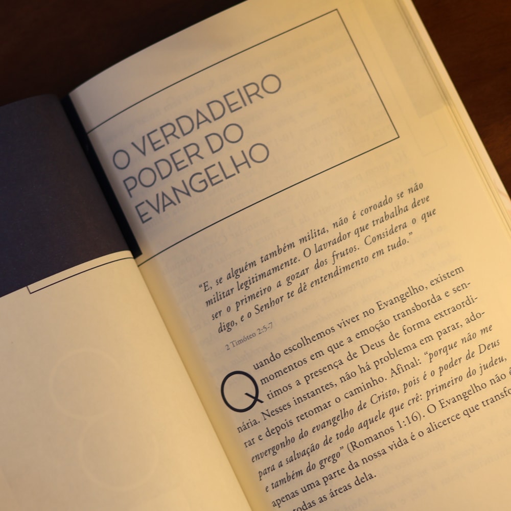 Mente Sadia, Coração em Chamas | Luiz Hermínio