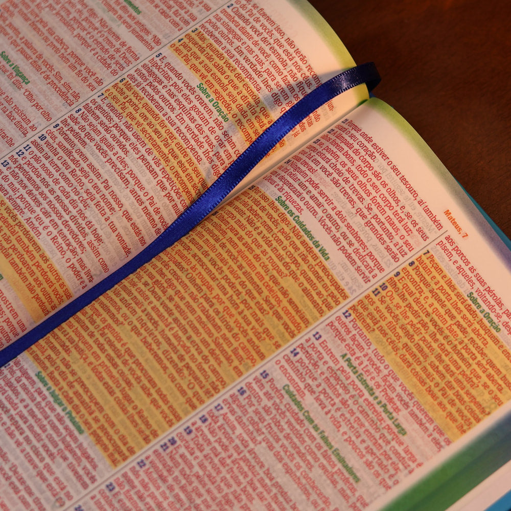 Bíblia dos Meninos Corajosos | NVA | Harpa Avivada e Corinhos | Capa Dura Azul