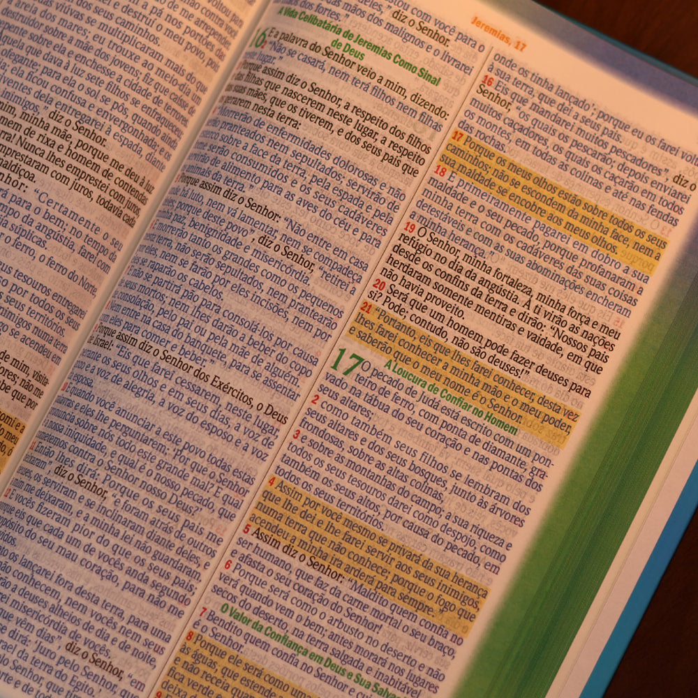 Bíblia dos Meninos Corajosos | NVA | Harpa Avivada e Corinhos | Capa Dura Azul