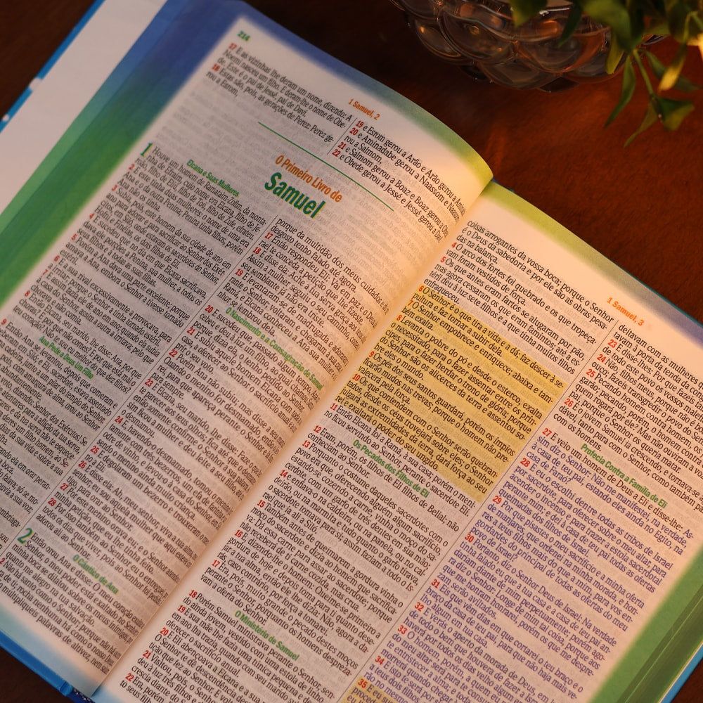 Bíblia dos Meninos Corajosos | ARC | Harpa Avivada e Corinhos | Capa Dura Azul