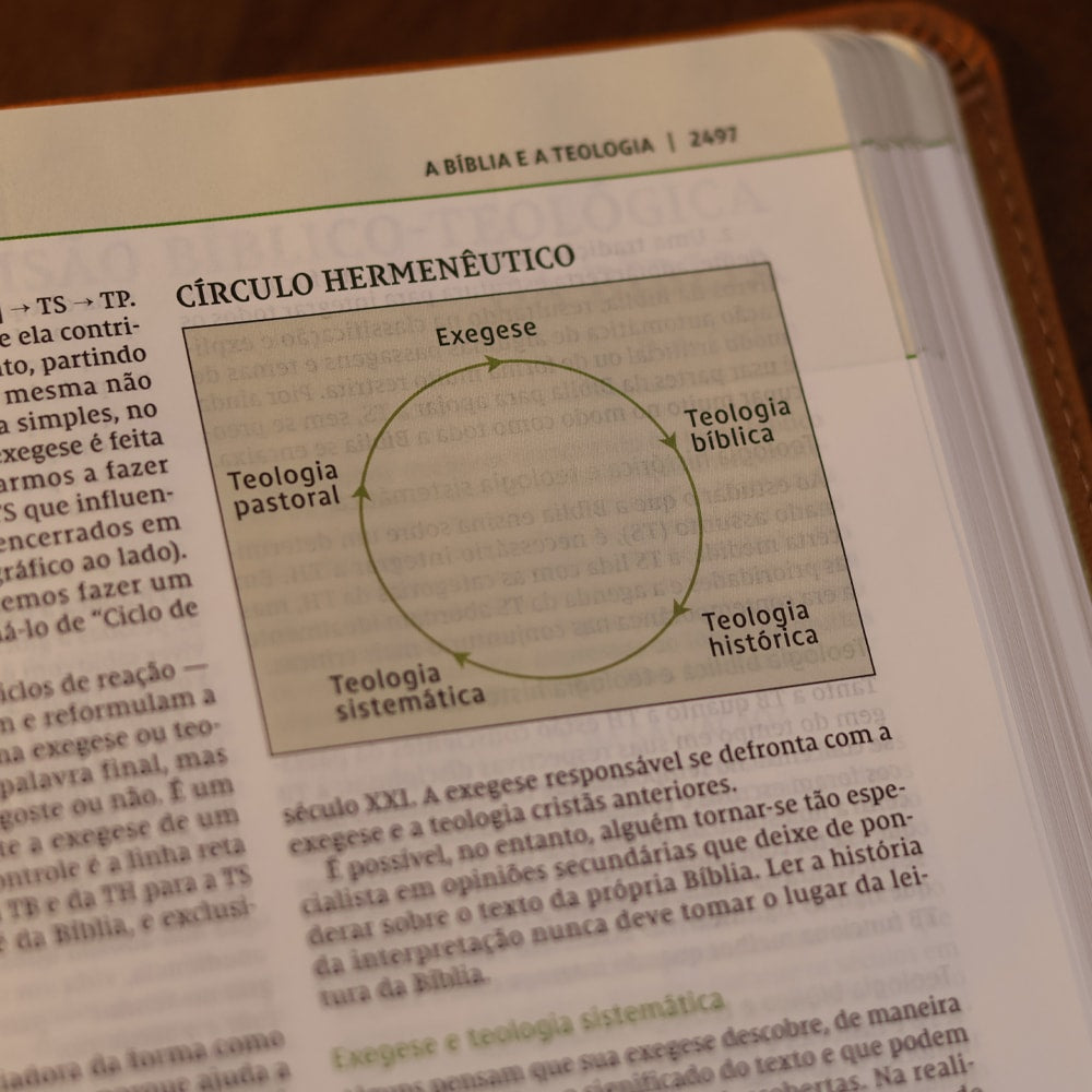 Bíblia de Estudo Thomas Nelson | NVI | Couro Soft Marrom