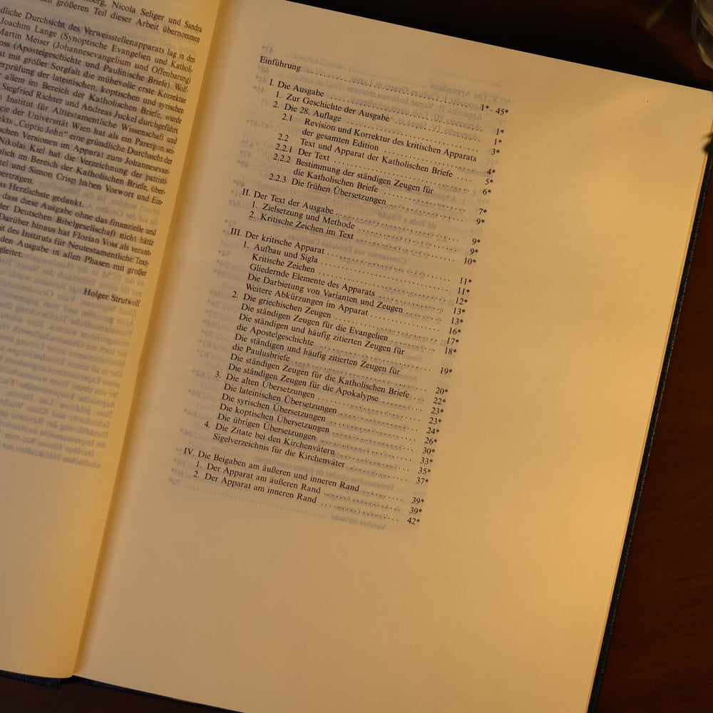 Novum Testamentum Graece | O Novo Testamento em Grego | Capa Dura Azul | Nestle-Aland - Na28