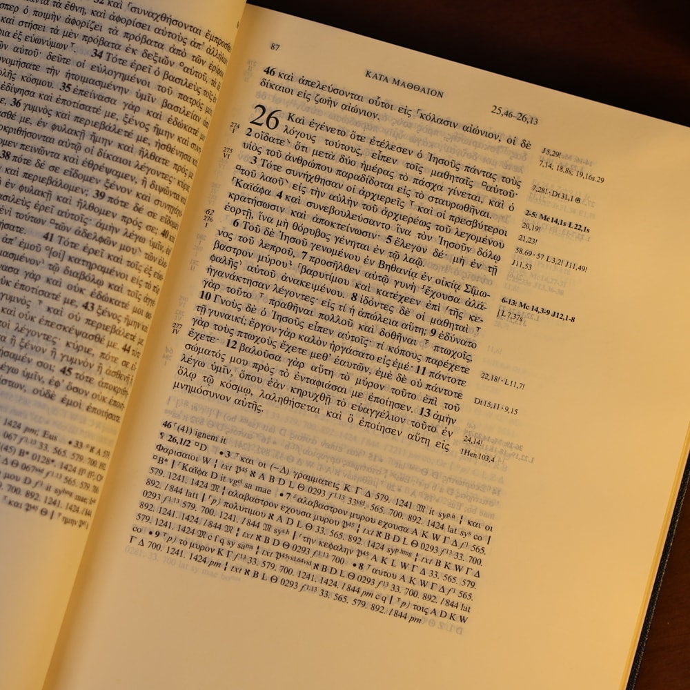 Novum Testamentum Graece | O Novo Testamento em Grego | Capa Dura Azul | Nestle-Aland - Na28
