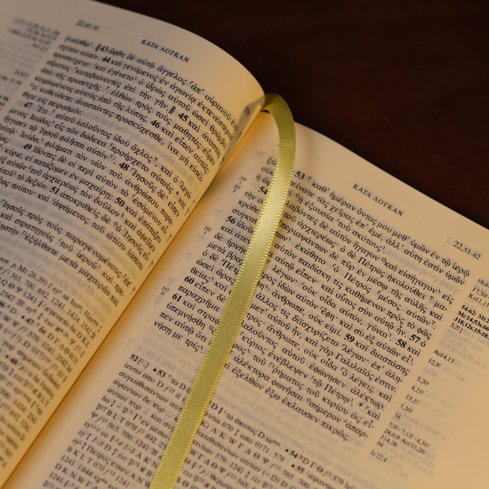 Novum Testamentum Graece | O Novo Testamento em Grego | Capa Dura Azul | Nestle-Aland - Na28