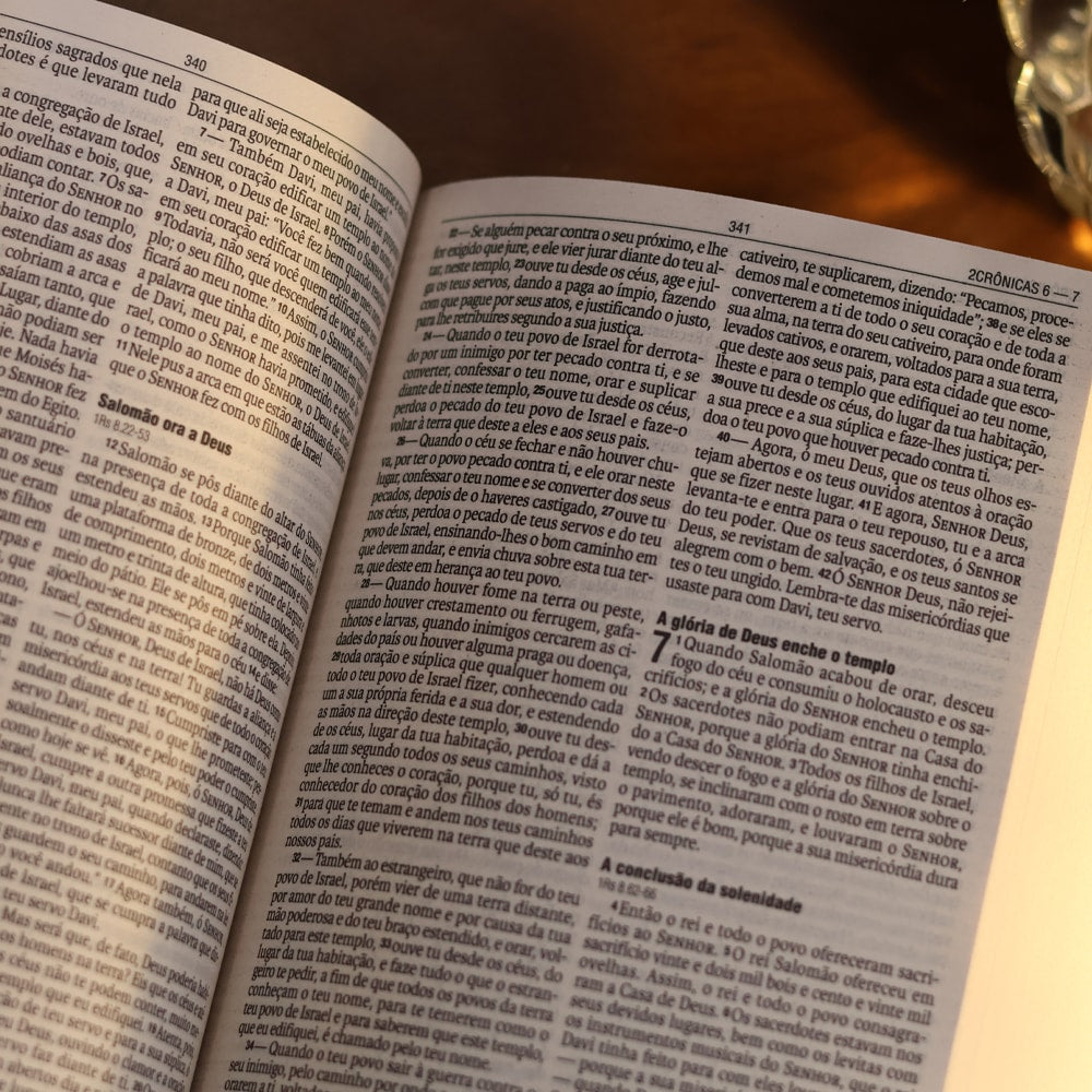 Bíblia Sagrada Semear | NAA | Capa Dura Preta