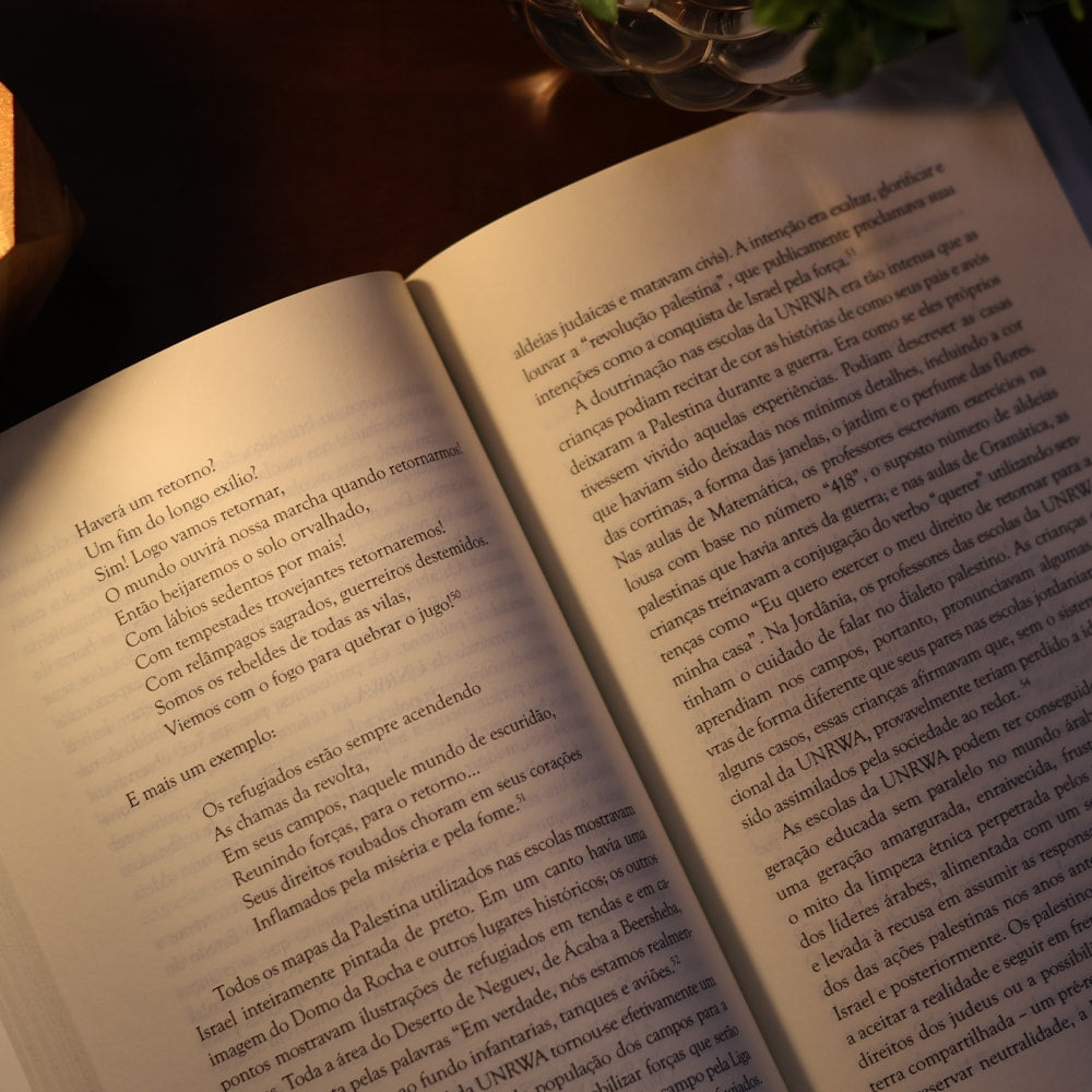 A Guerra do Retorno | Adi Schwartz e Einat Wilf