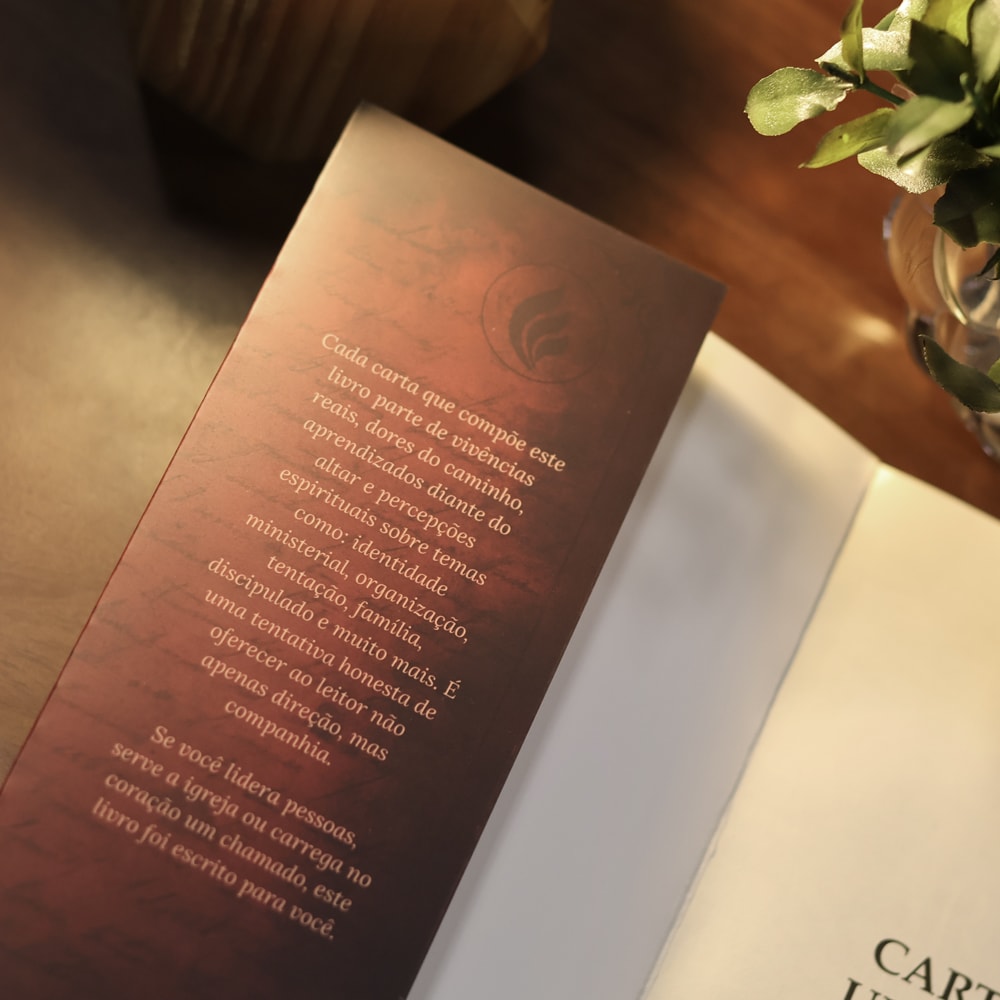 Cartas a Um Jovem Pastor | Ryan Lima