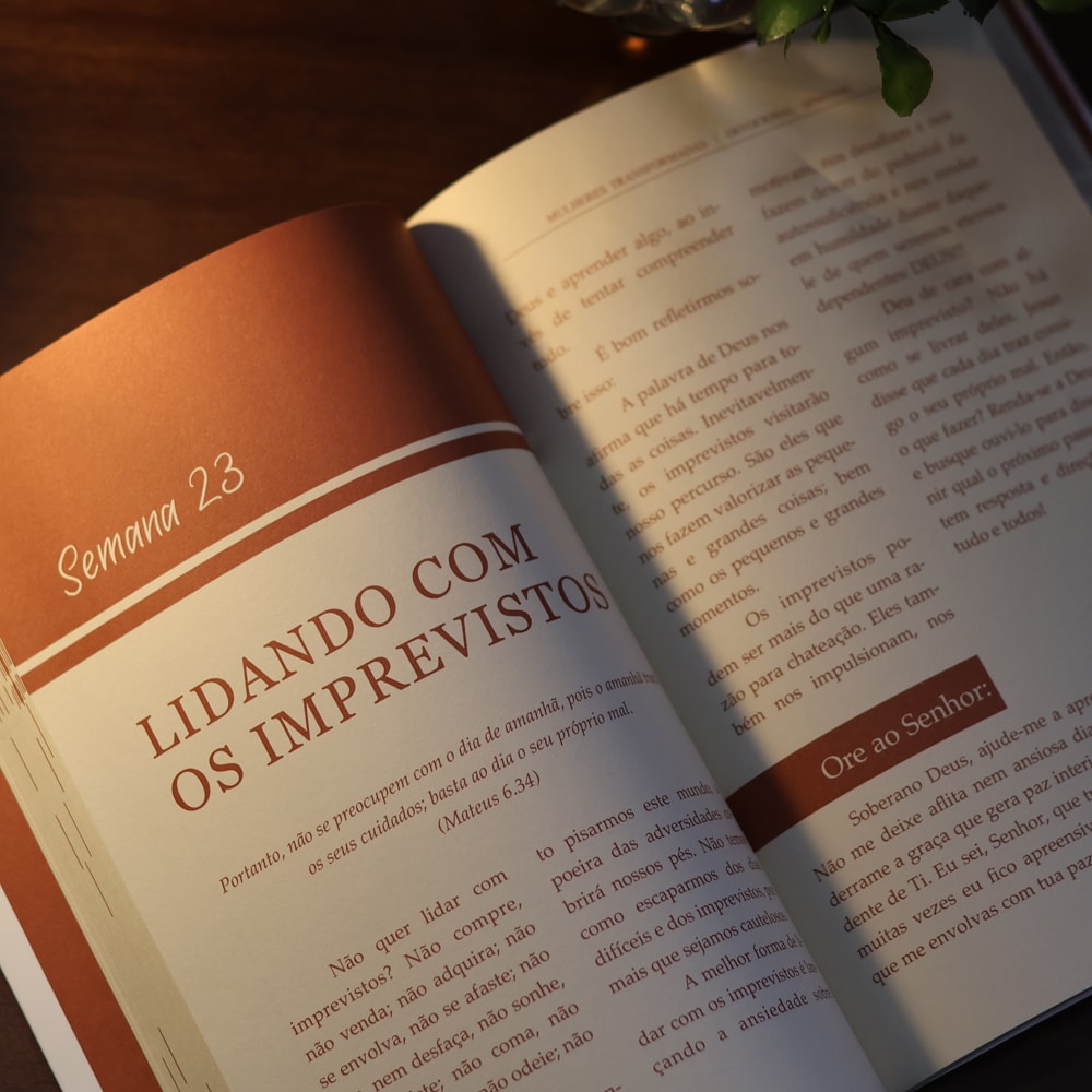 Devocional Mulheres Transformadas | Leila Francieli