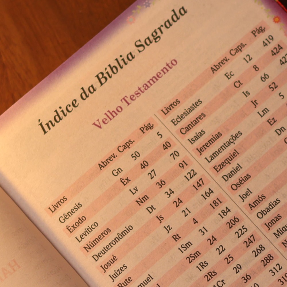 Bíblia Sagrada Filha do Rei | ARC | Letra Gigante | Harpa Avivada e Corinhos | Capa Dura Carteira Vermelha