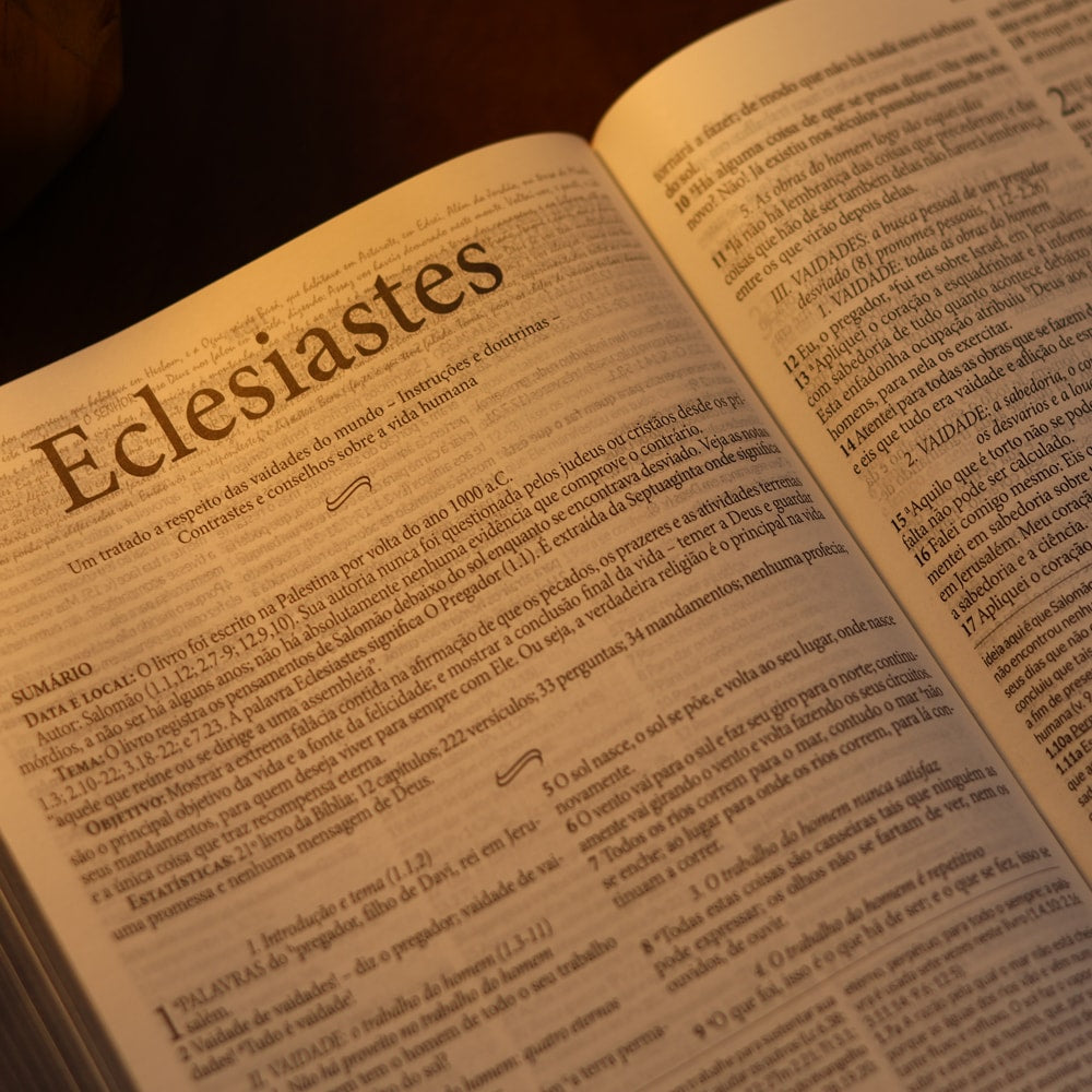 Bíblia de Estudo Dake | ACC | Letra Grande | Capa Luxo Verde