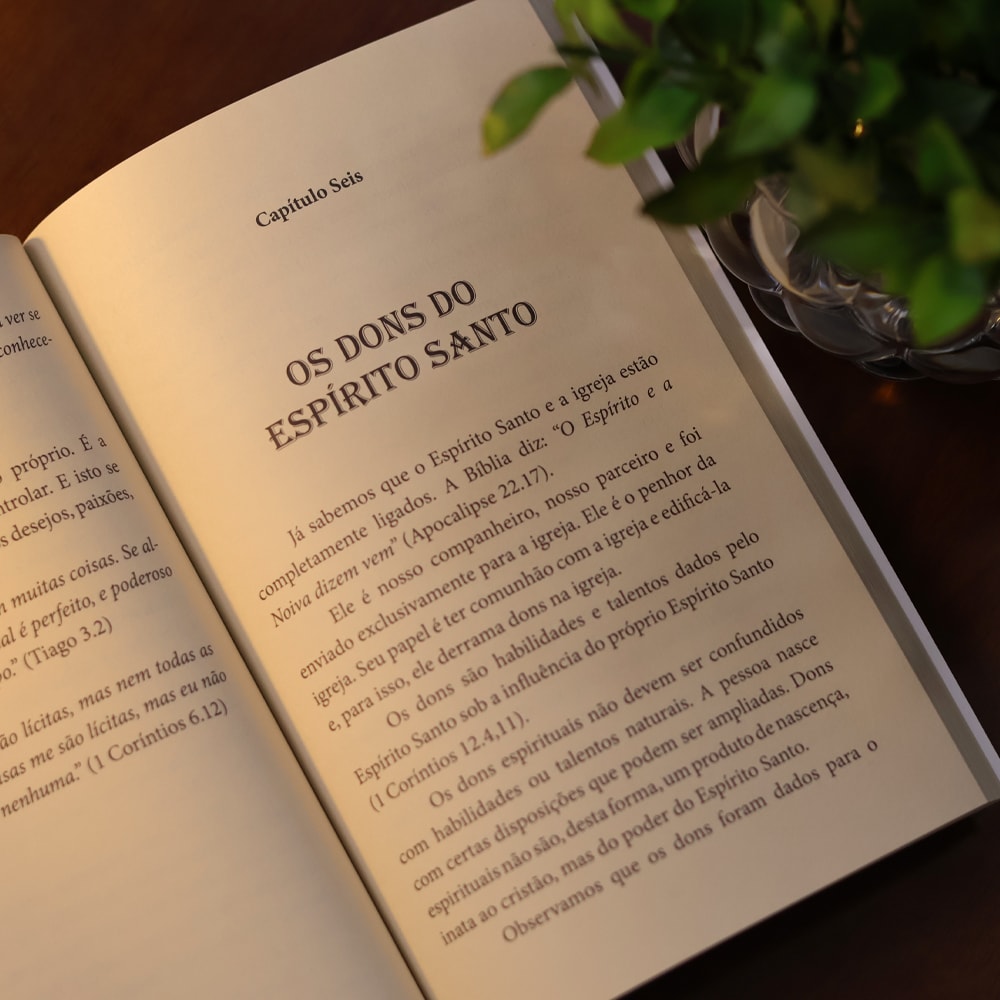 Precioso Espírito Santo | Hernane Santos