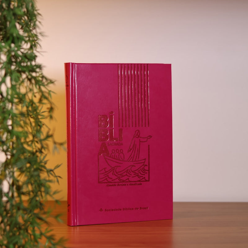 Bíblia Sagrada Jesus no Barco | ARA | Capa Dura Pink