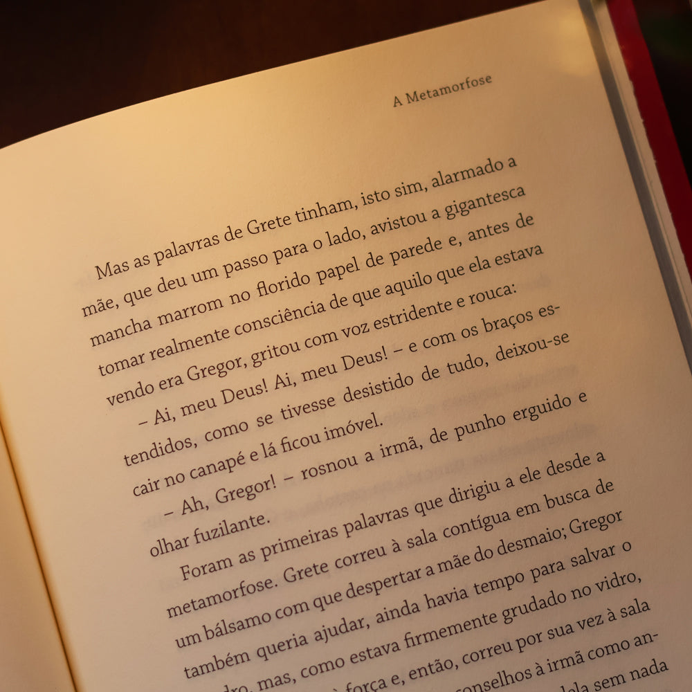 A Metamorfose | Franz Kafka
