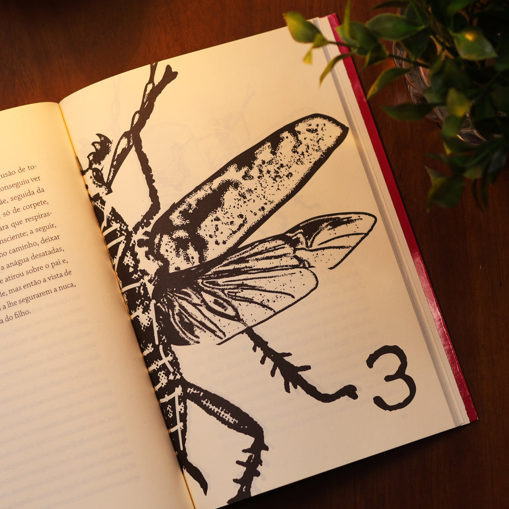 A Metamorfose | Franz Kafka