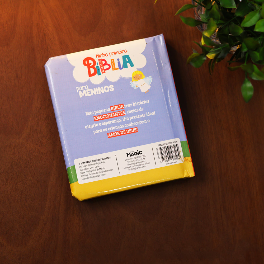 Minha Primeira Bíblia | Para Meninos