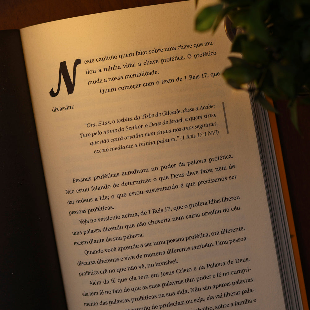 Mentalidade de Alto Nível | Vinicius Iracet