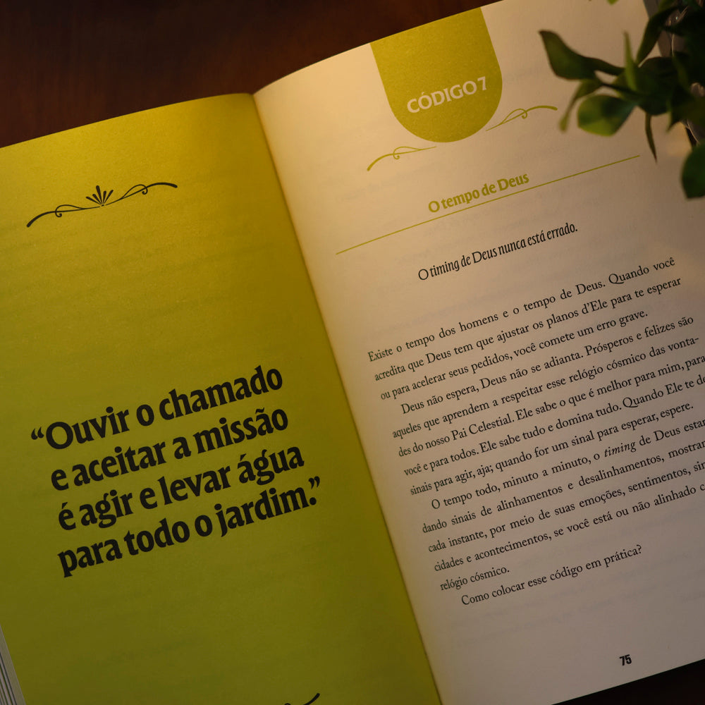 Códigos Espirituais da Riqueza | Bruno Gimenes e Patrícia Cândido