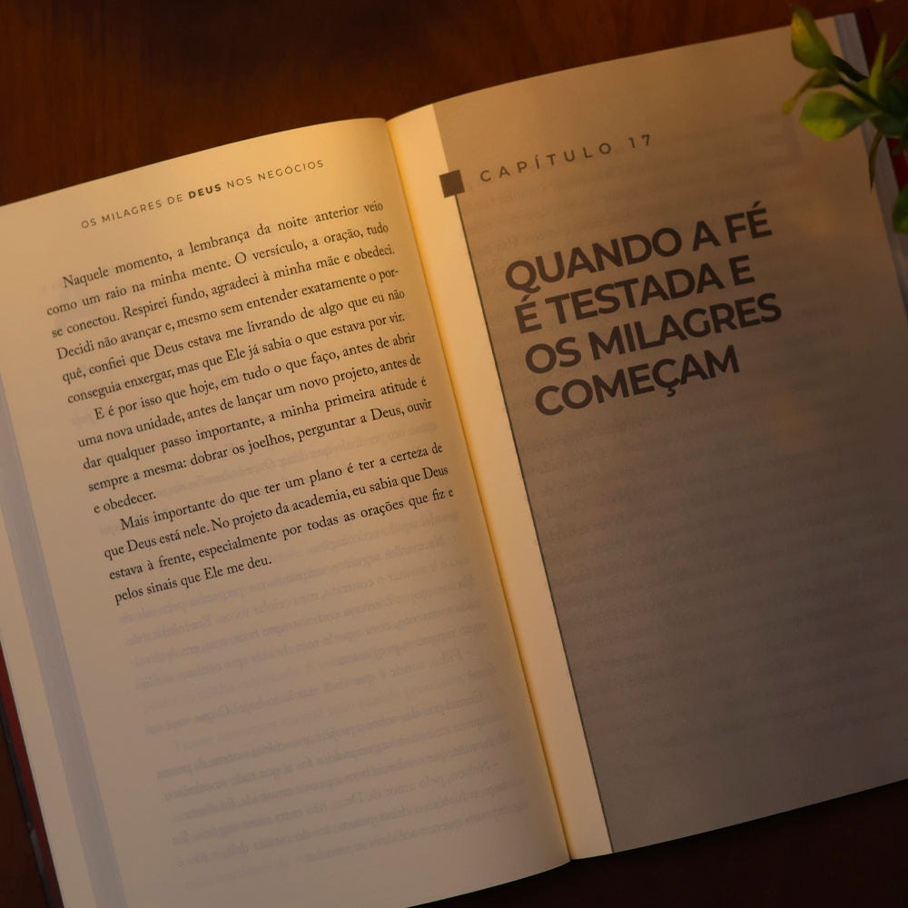 Os Milagres de Deus Nos Negócios | Nelson Lins