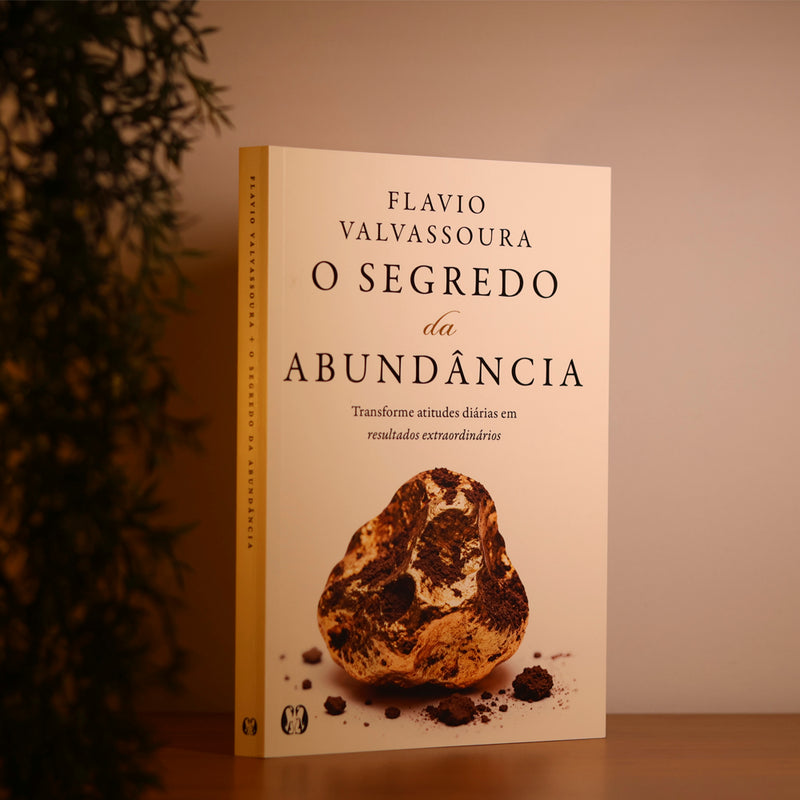 O Segredo da Abundância | Flavio Valvassoura