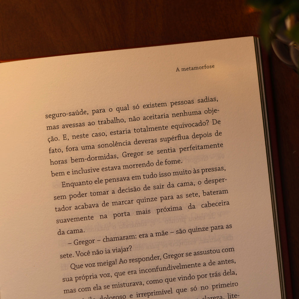 A Metamorfose | Franz Kafka