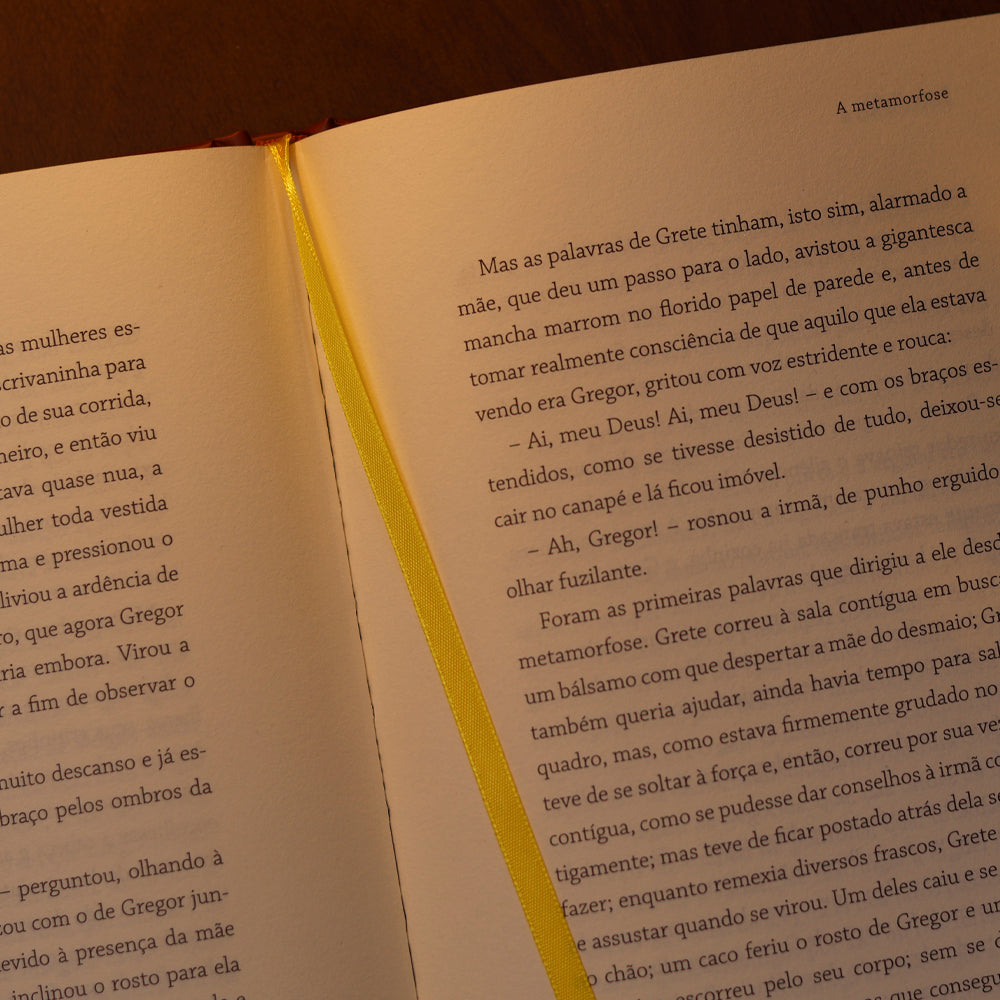 A Metamorfose | Franz Kafka