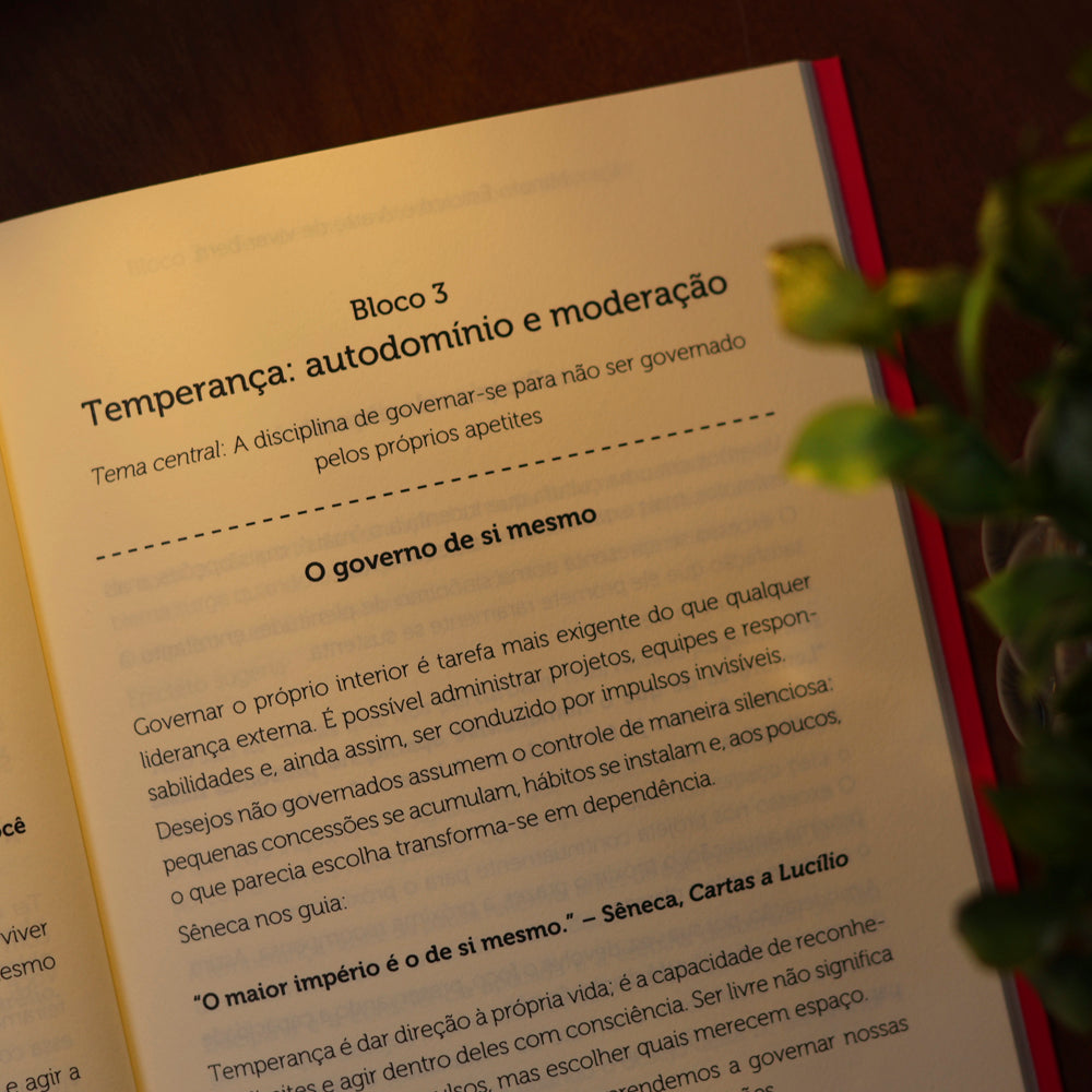 A Arte de Viver Bem | Coleção Minuto Estoico | Donaldo Buchweitz