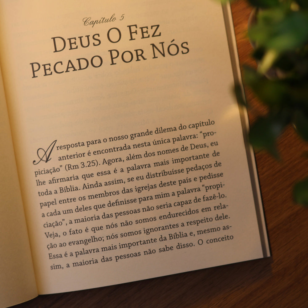 O Verdadeiro Evangelho | Paul Washer
