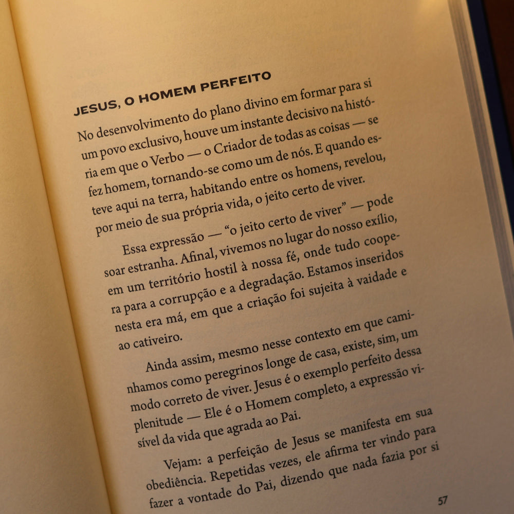 Alienados | Eliza Walker de Souza