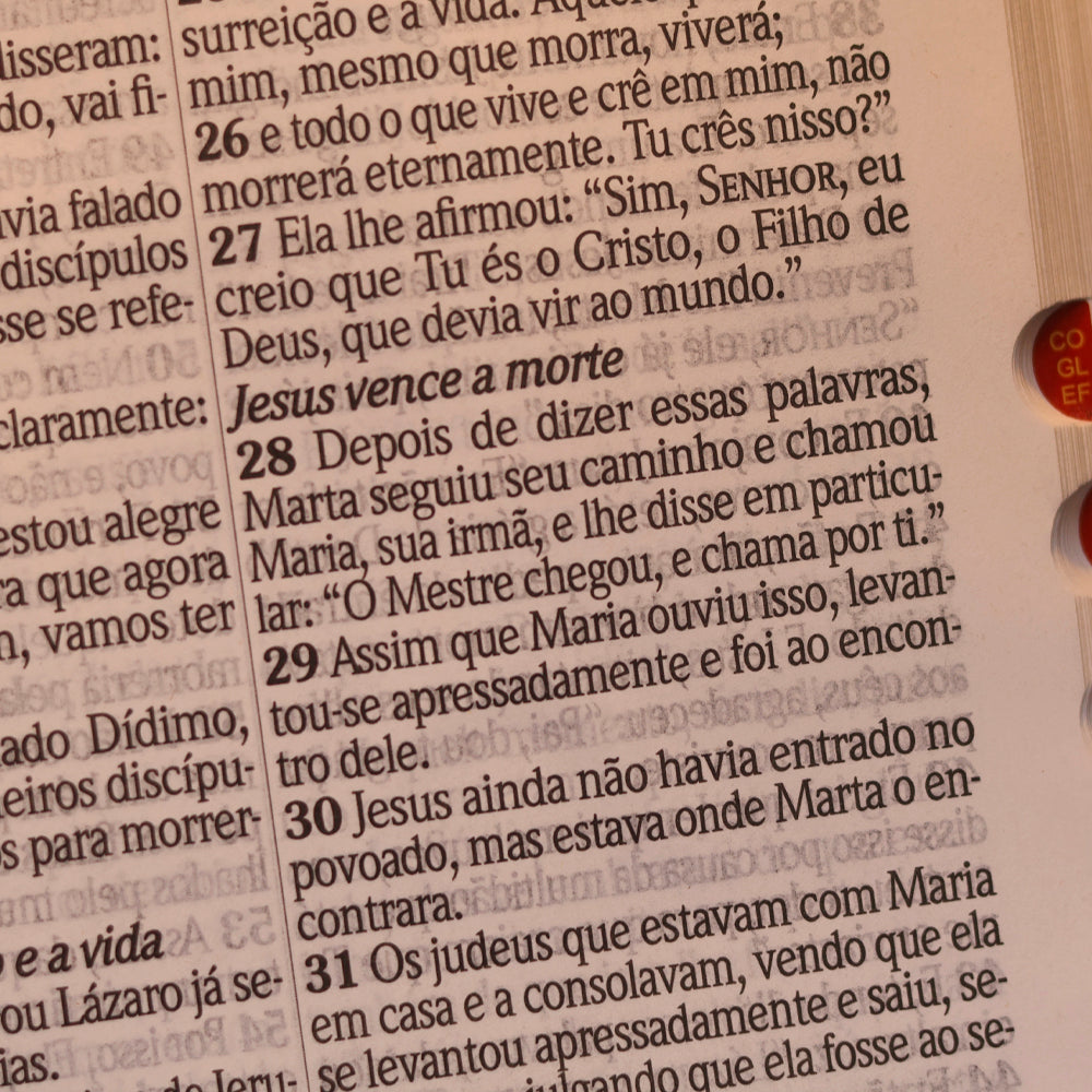 Bíblia King James Atualizada | Letra Jumbo | Capa Arabesco Preta