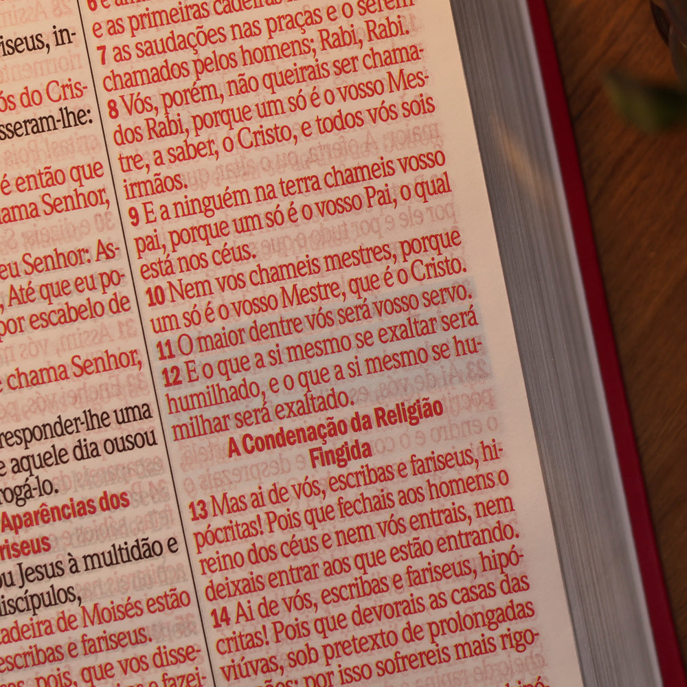Bíblia Sagrada Letra Jumbo | ARC | Harpa Avivada e Corinhos | Capa PU Luxo Jardim Pink