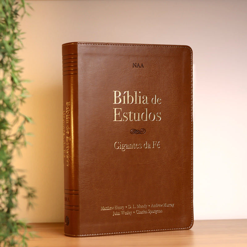 Bíblia de Estudos | NAA | Gigantes da Fé | Marrom