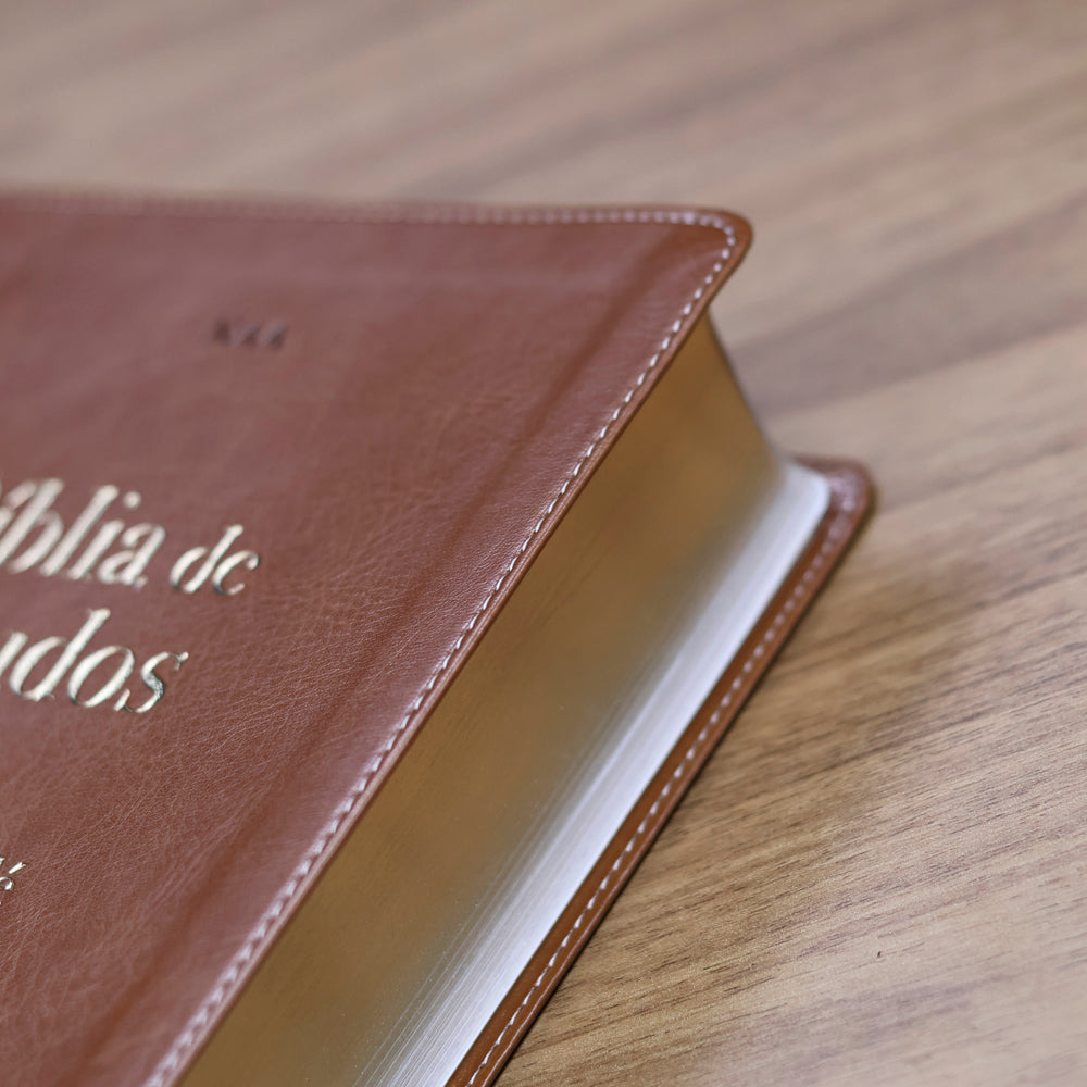 Bíblia de Estudos | NAA | Gigantes da Fé | Marrom