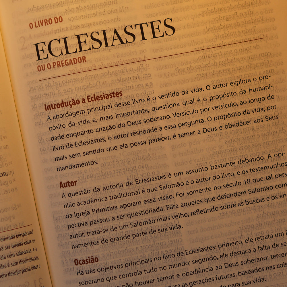 Bíblia de Estudos | NAA | Gigantes da Fé | Marrom