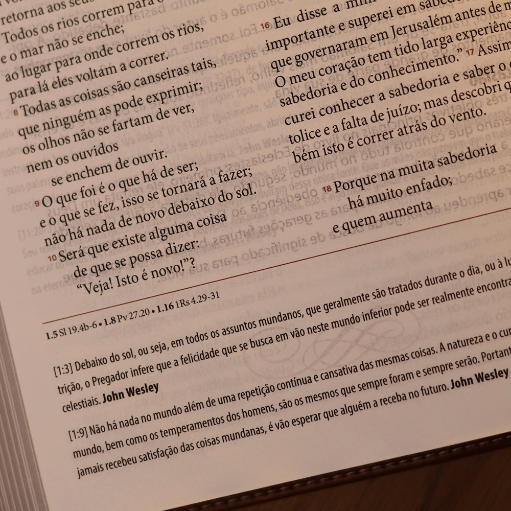 Bíblia de Estudos | NAA | Gigantes da Fé | Marrom