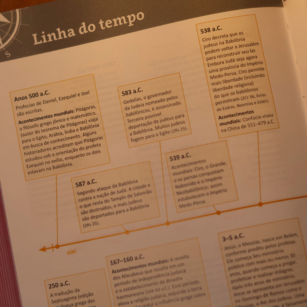 Bíblia Sagrada Com Recursos | NVT | Capa Dura Rosa